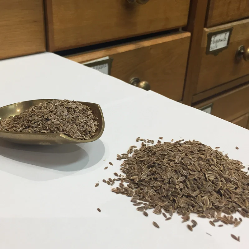 Aneth semences (Tisane en vrac) – Image 2